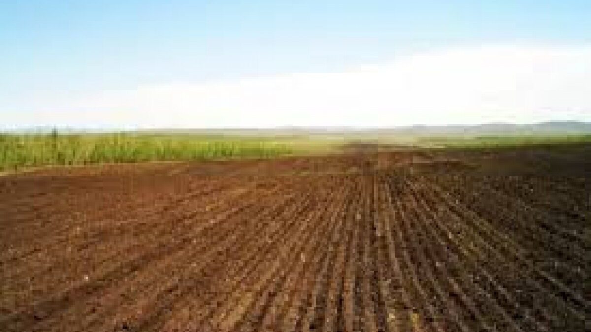 New lease agreements signed for lands in liberated territories