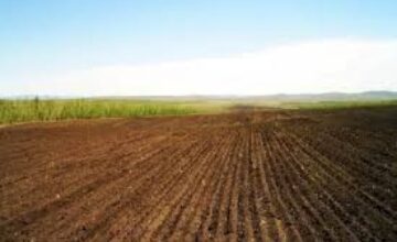 New lease agreements signed for lands in liberated territories