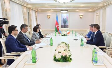 Meeting held with members of the Ireland-Azerbaijan inter-parliamentary friendship group