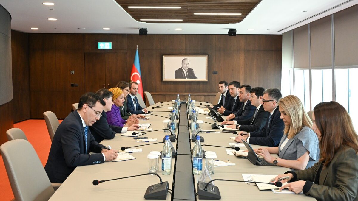 Prospects for the development of cooperation between Azerbaijan and the UN discussed