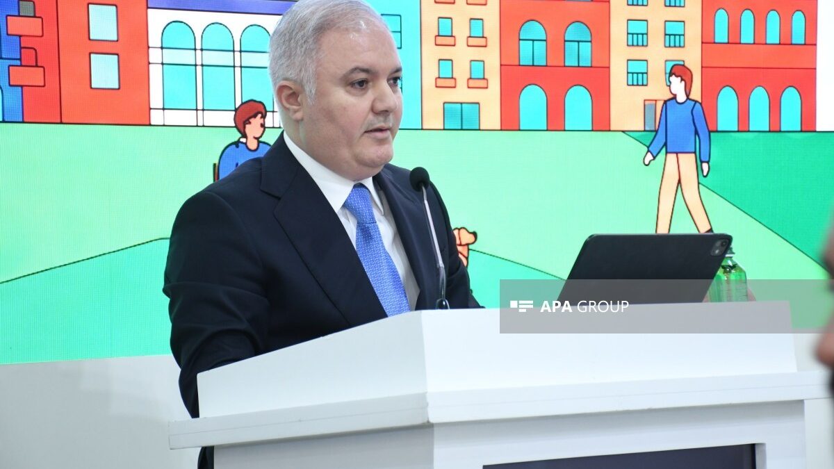 Special Representative: We aim to turn Kalbajar into a highly developed region