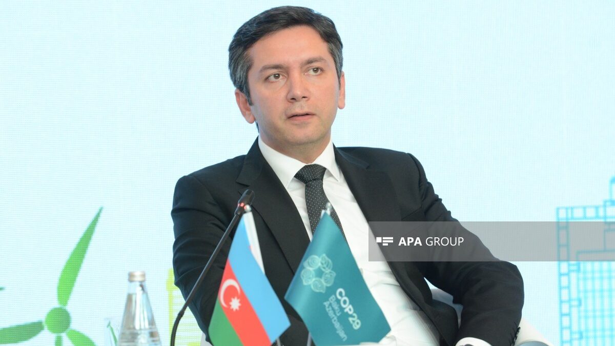 Yalchin Rafiyev: Azerbaijan’s relations with Africa have expanded significantly