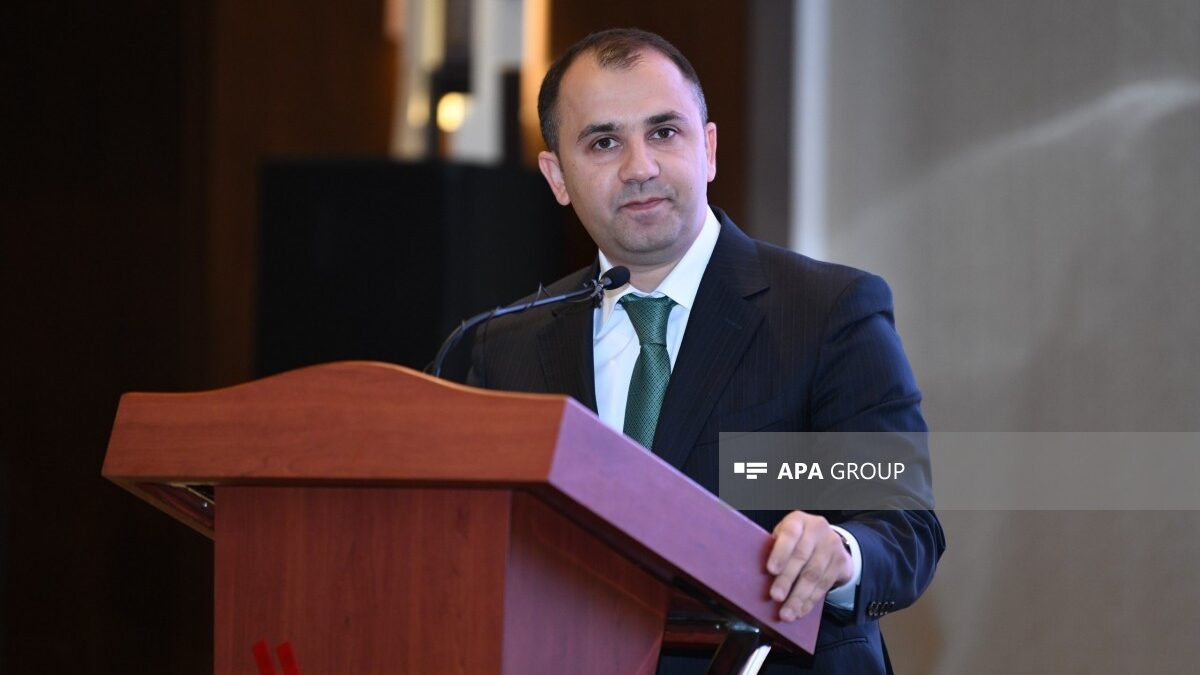 Deputy Minister: Nearly 400 African students are studying in Azerbaijan