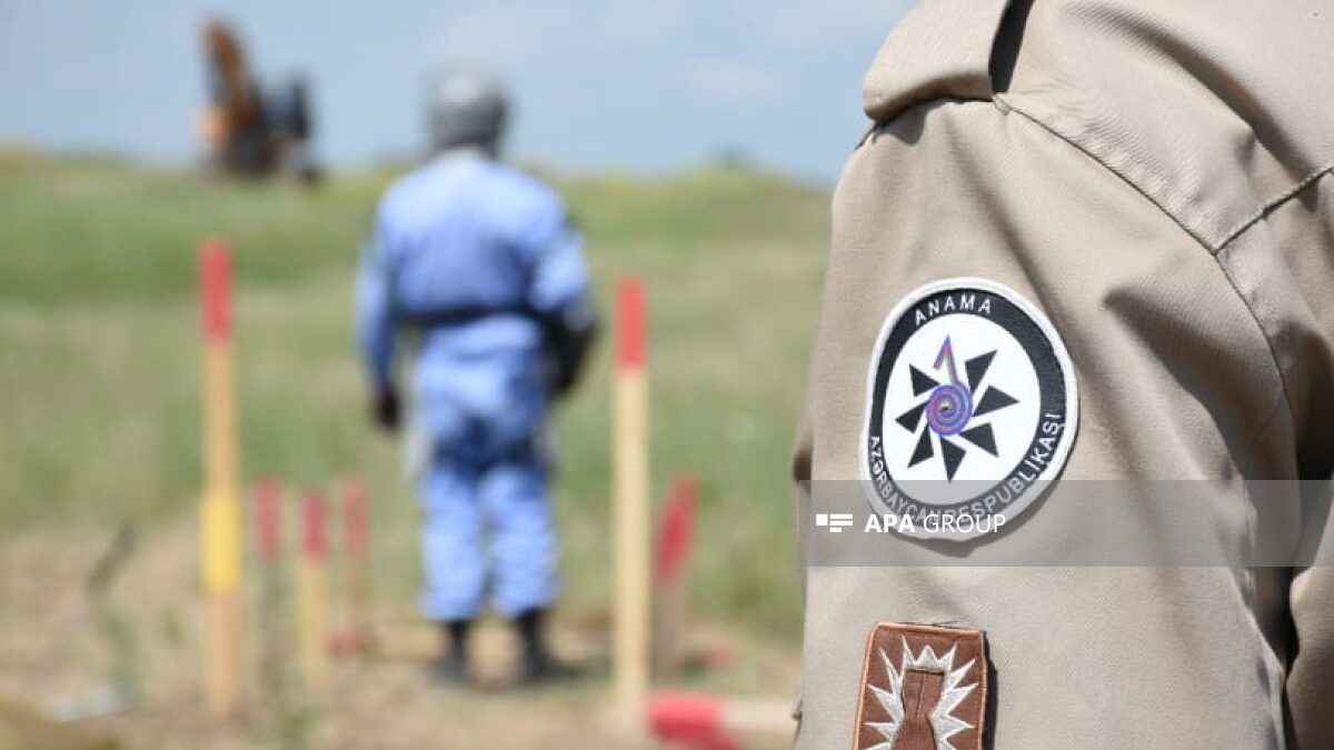 78 more mines and 416 UXOs discovered in liberated territories