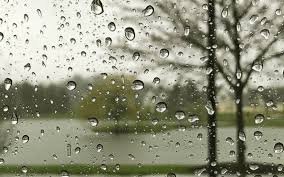 It will rain tomorrow – FORECAST