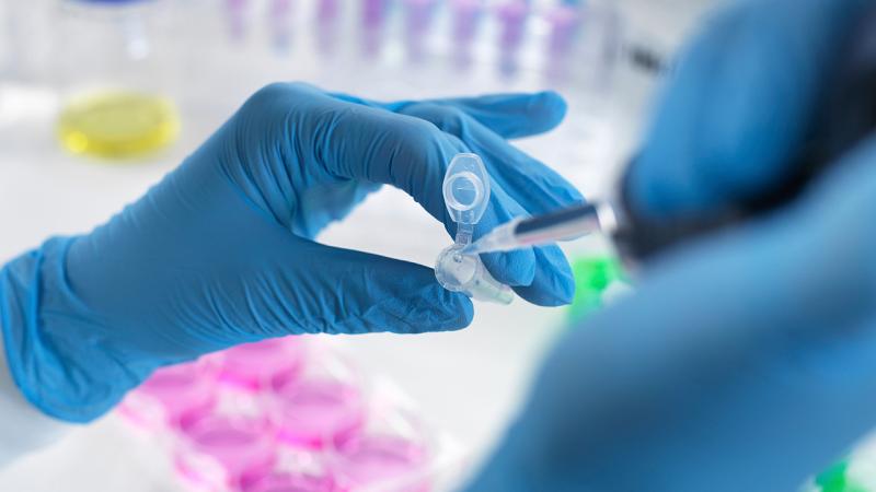Drug laboratory in university laboratory