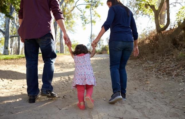 The number of children placed in foster families in Azerbaijan