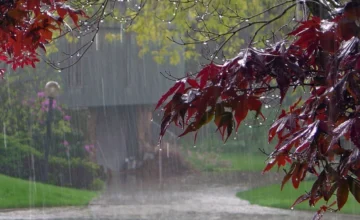 Rain expected in Baku and regions, will be intensive in some places – WARNING