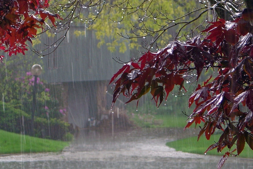 Rain expected in Baku and regions, will be intensive in some places – WARNING
