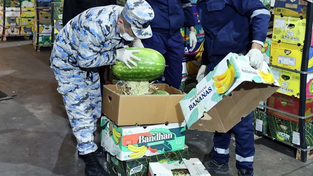 31 kg of drugs found in “Watermelon” cargo – Photo