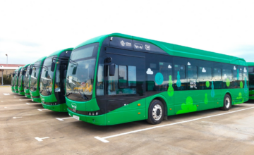 Bus and metro travel became free for these individuals