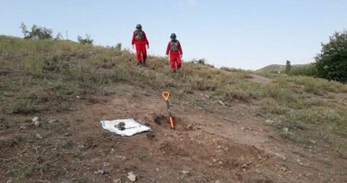 Benefits for family members of persons who died during mine clearance activities have been approved