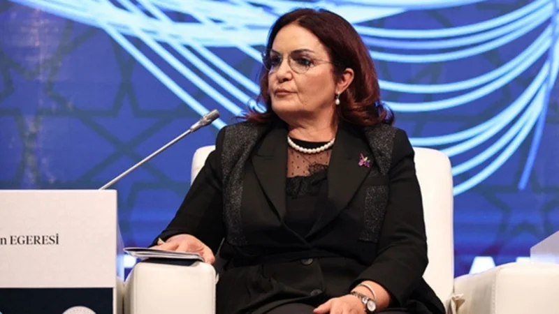 Biased stance of European institutions against Azerbaijan criticized