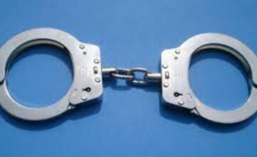 Individuals who committed theft in Absheron were detained