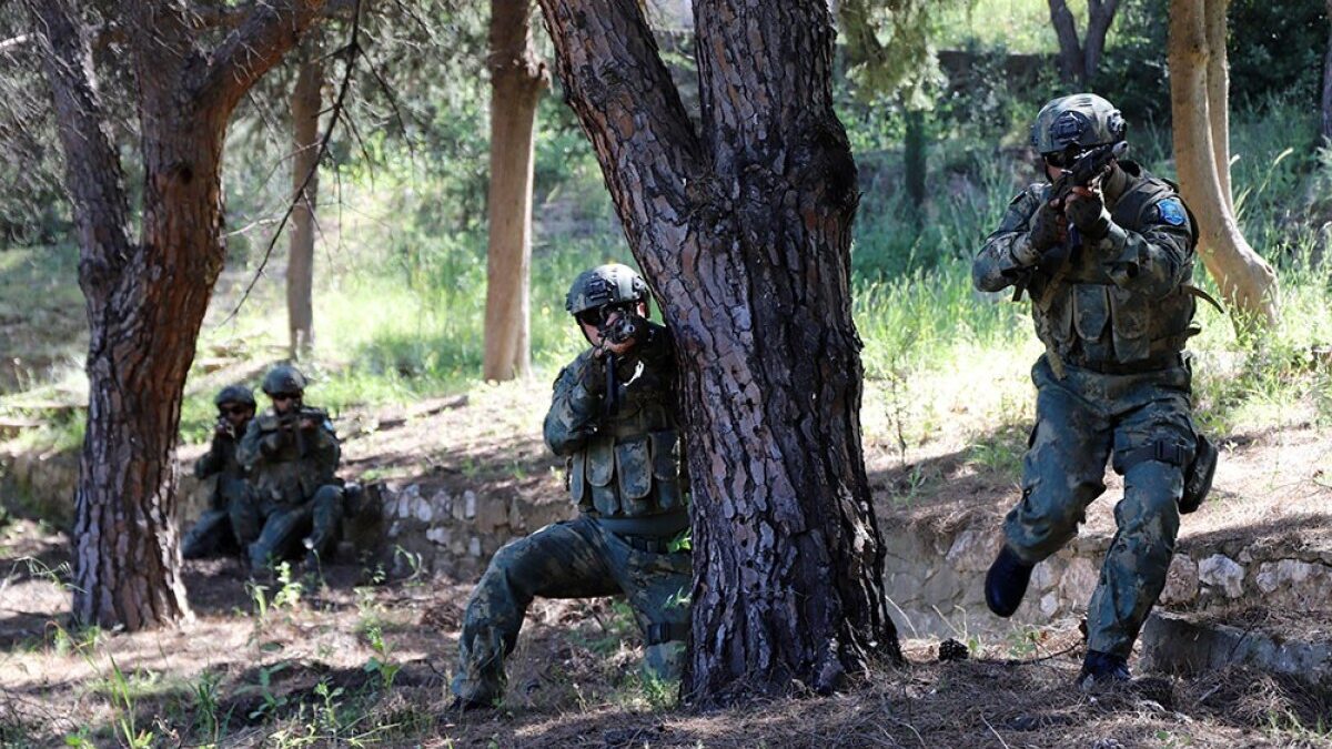 Search and mountaineering training exercises held during “EFES – 2026” exercise – VIDEO