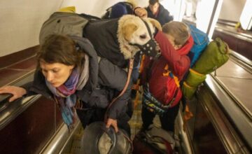 ATTENTION to those traveling on public transport with animals