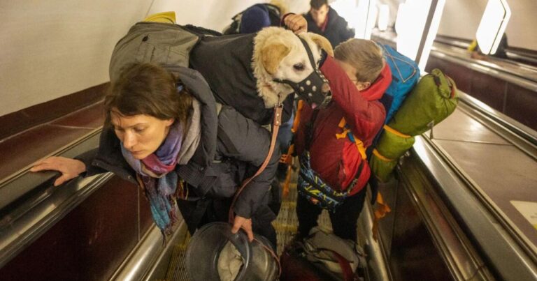 ATTENTION to those traveling on public transport with animals