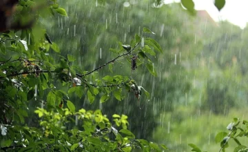 North-west wind has strengthened in Baku, rain has fallen in a number of regions – ACTUAL WEATHER