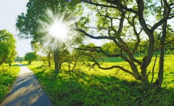 Tomorrow, it will be 19 degrees in Baku and 24 degrees in the regions