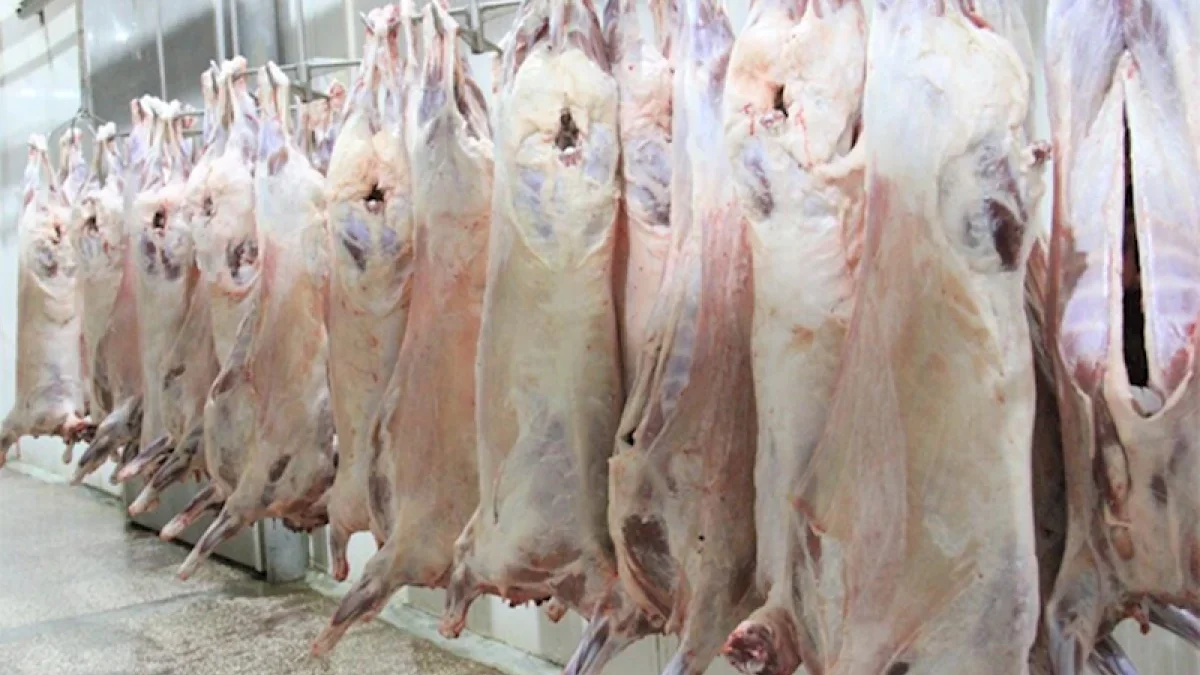 Majnun Mammadov: Our meat production cannot meet consumption
