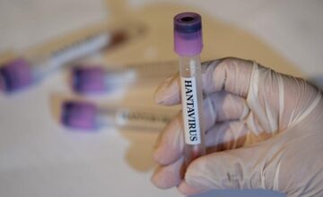 WHO: Countries must be prepared for new hantavirus cases