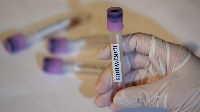 WHO: Countries must be prepared for new hantavirus cases