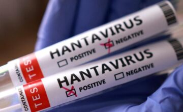 WHO: Risk of Hantavirus for the global population remains low