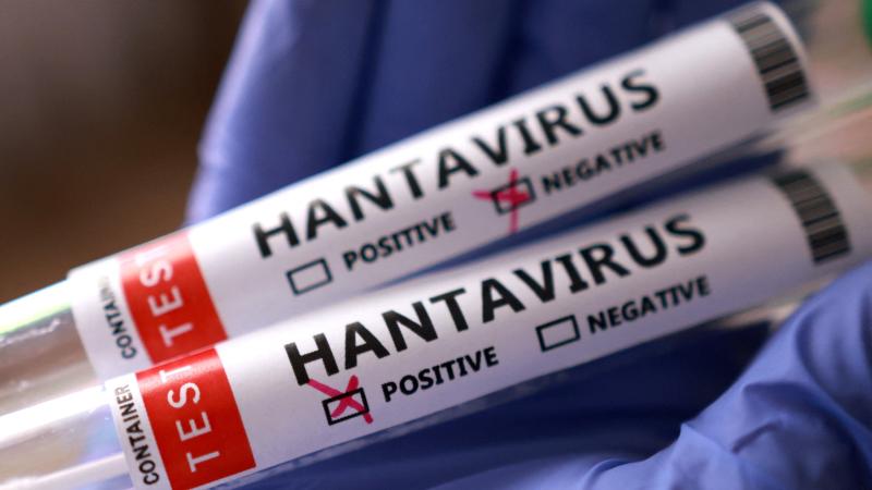 WHO: Risk of Hantavirus for the global population remains low