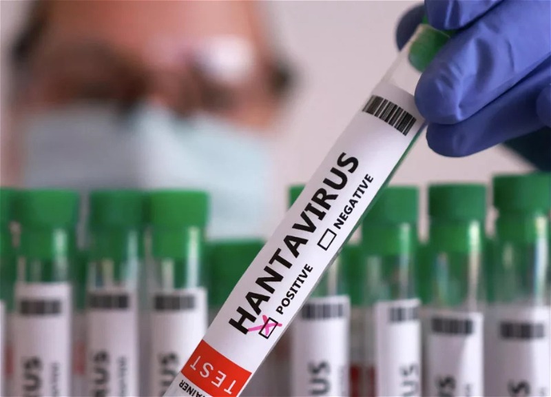 WHO increases the number of hantavirus infection cases to 11 again