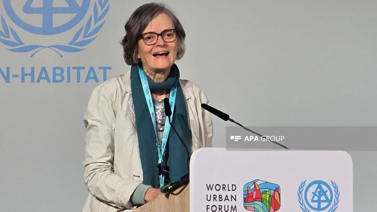 Professor: Transformation of informal settlements requires deep public participation