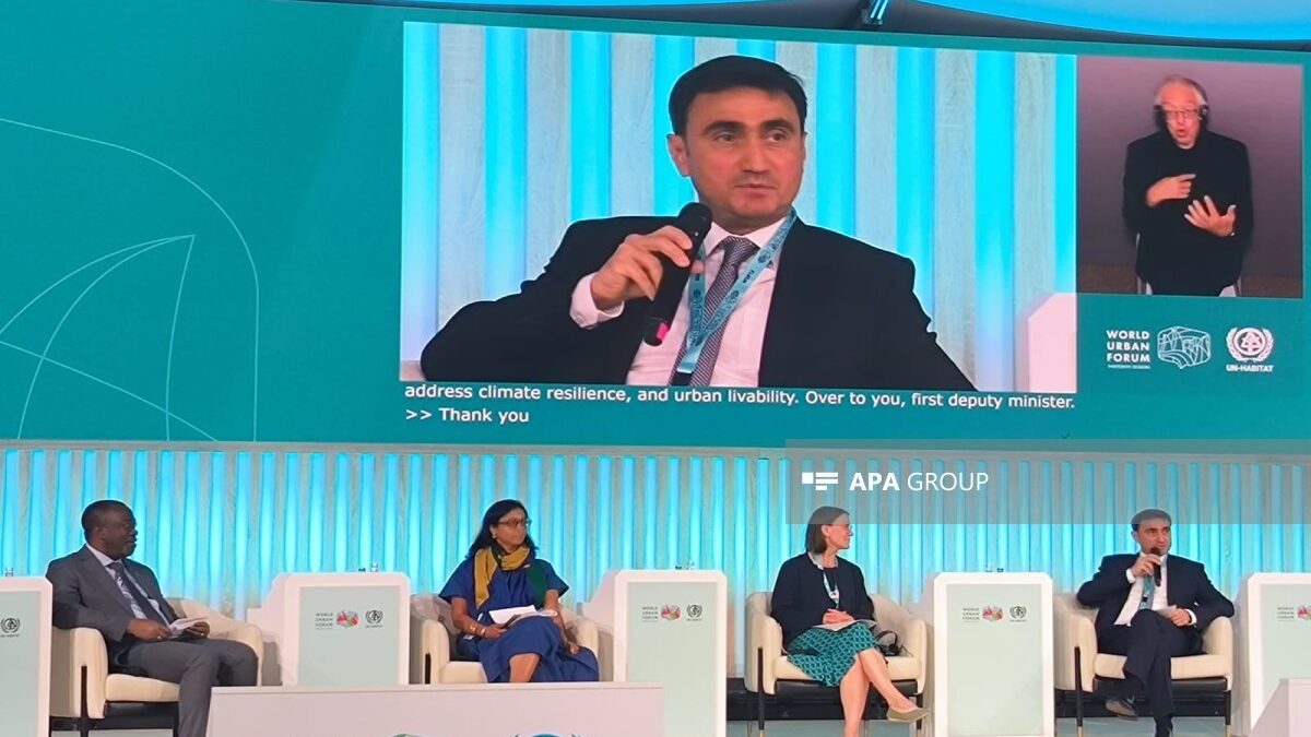 Deputy Minister: Azerbaijan is working on a low-emission development strategy