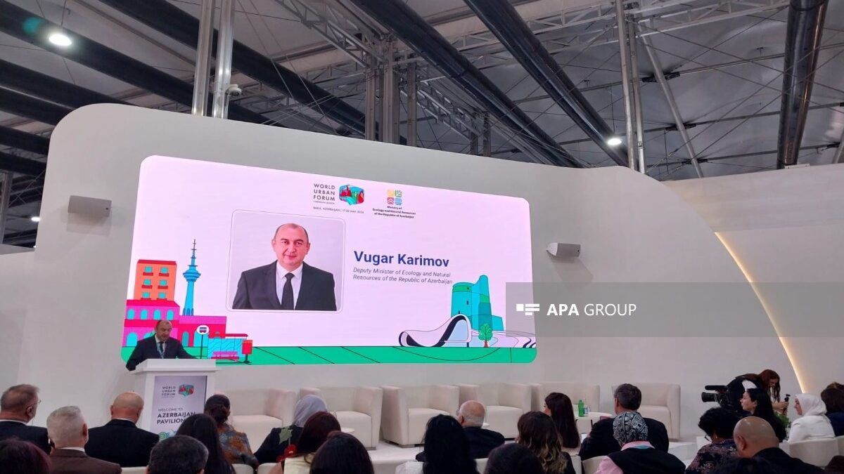 Deputy Minister: Use of plastic containers in Azerbaijan has increased 5 times