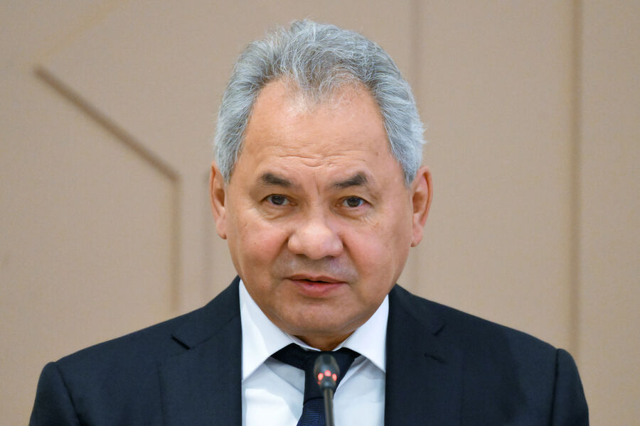 Shoigu: Russia and Turkey did their best for the Istanbul agreement
