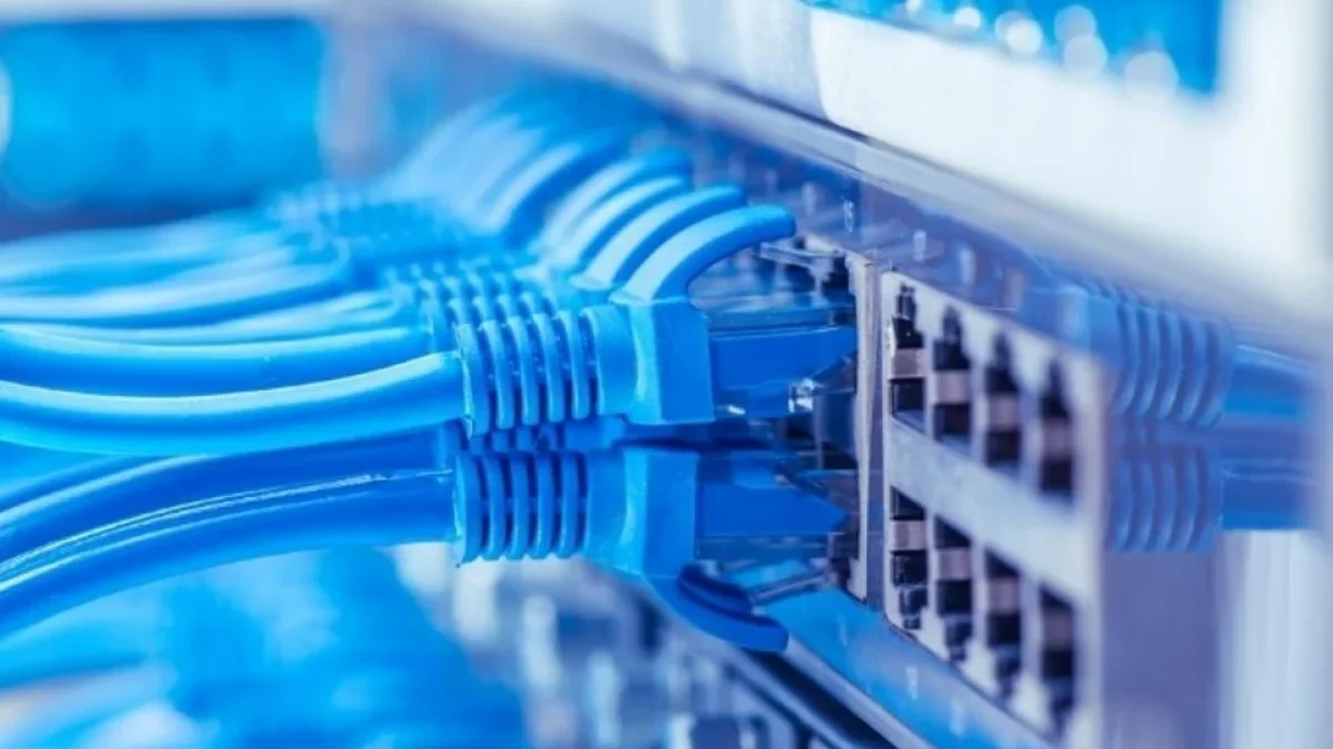 The share of bots in internet traffic in Azerbaijan has decreased sharply