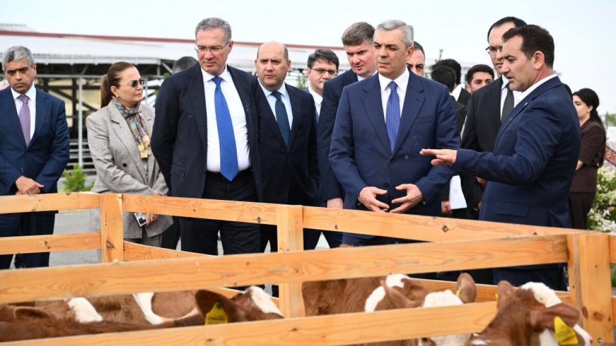 Livestock complex visited in Khojaly
