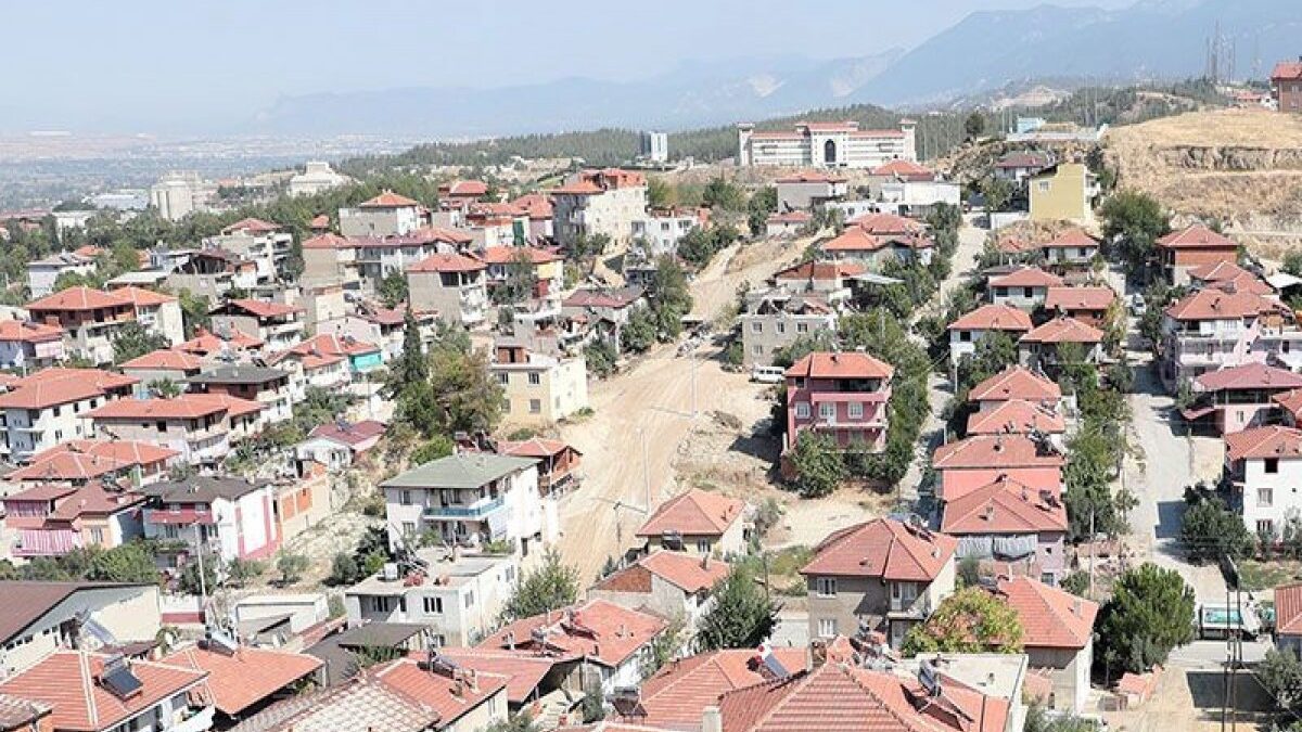 Proposal for amnesty for undocumented houses