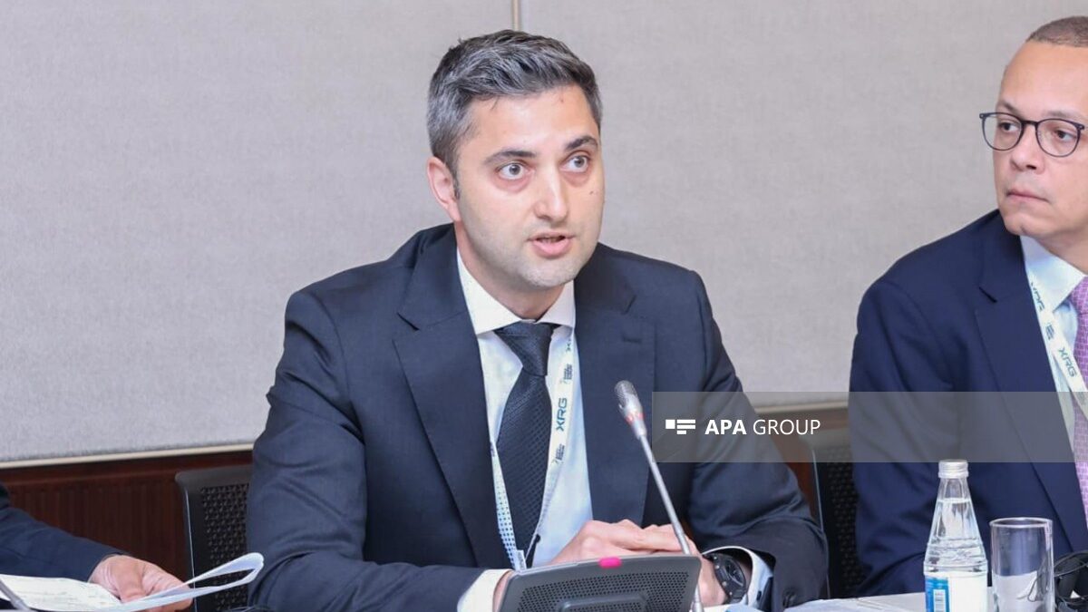 General Director: Energy efficiency has become one of Azerbaijan’s main strategic goals