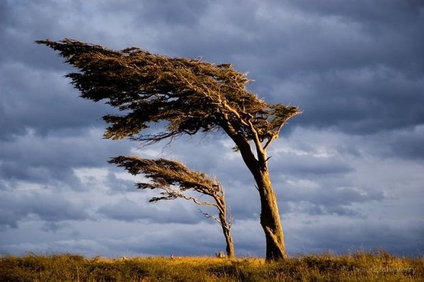 Yellow and orange warnings issued due to windy weather