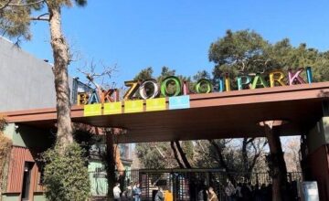 Baku Zoo is being liquidated