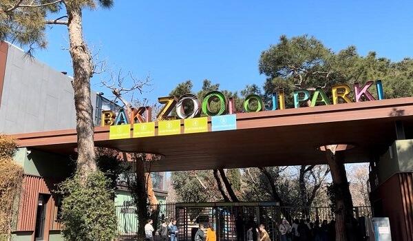 Baku Zoo is being liquidated