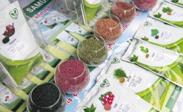 Requirements for the commercial circulation of seeds are being established