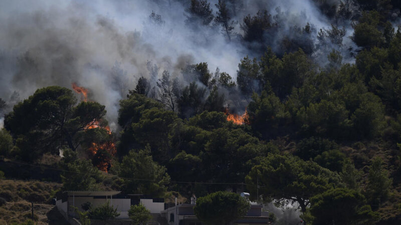 Forest fires have started in Greece