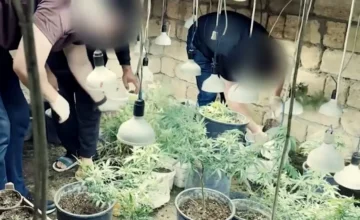 Drug bunker discovered in Novkhani