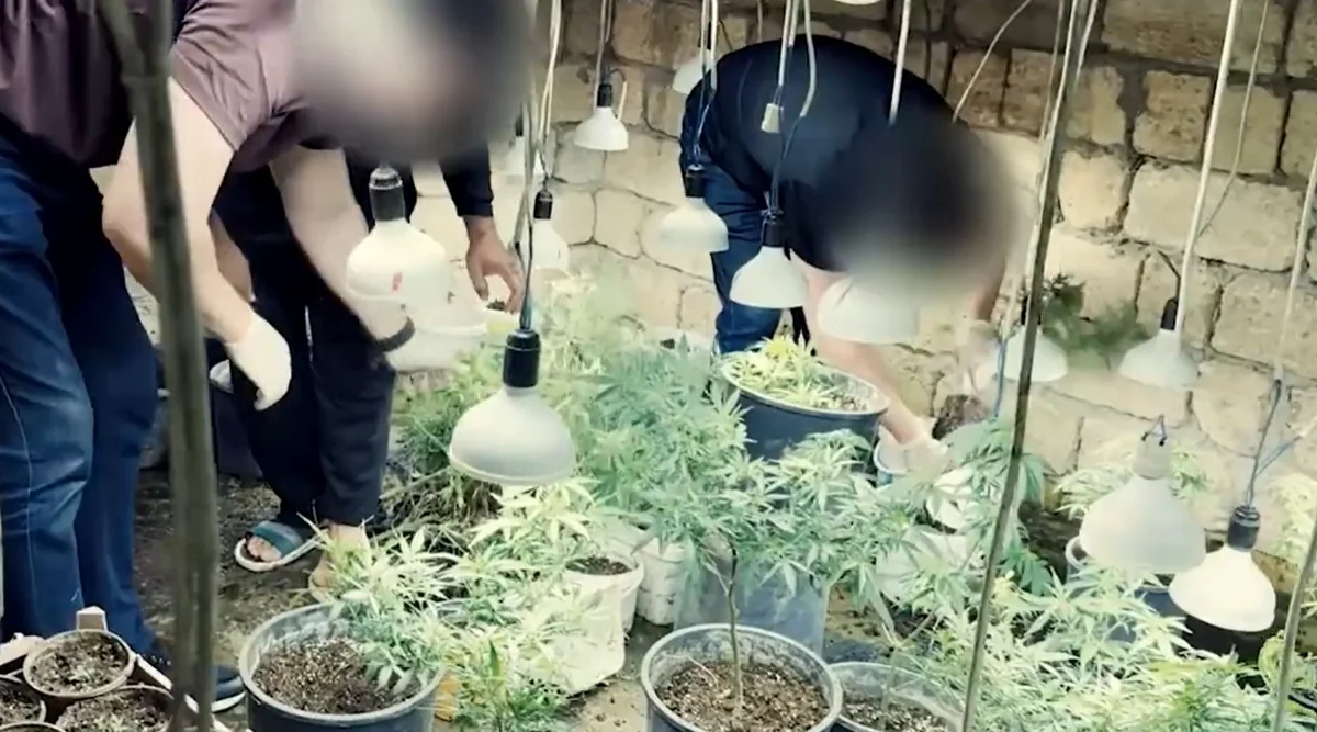 Drug bunker discovered in Novkhani