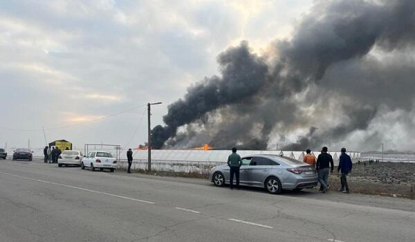 Severe fire in Imishli: support arrived from two districts