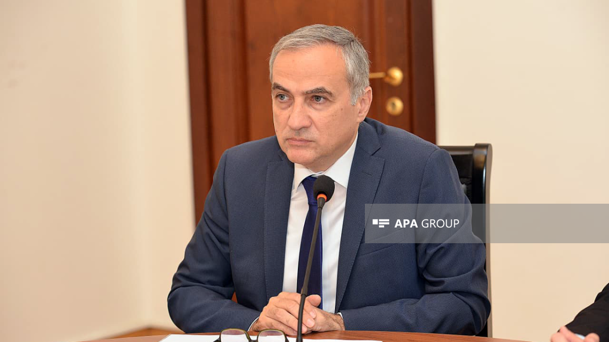 Farid Shafiyev: We need Armenia to express its position on the peace process through a referendum