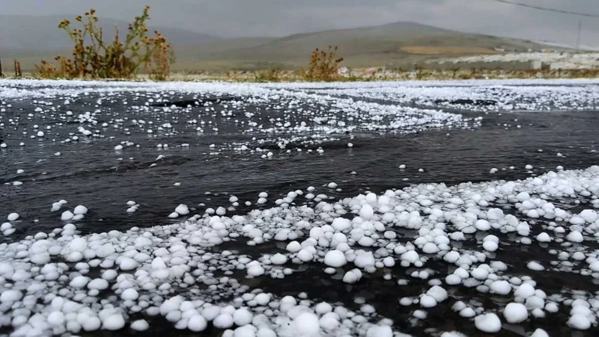 Hail expected in some regions, wind will intensify – WARNING