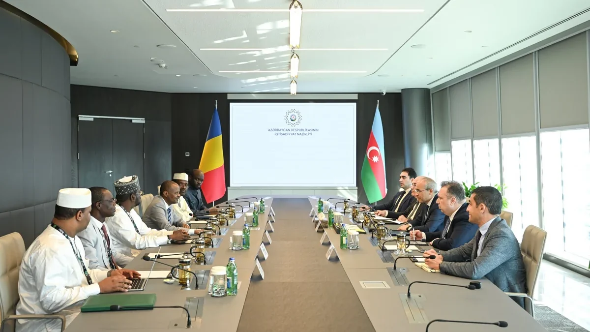 Azerbaijan and Chad discuss cooperation in the trade sector