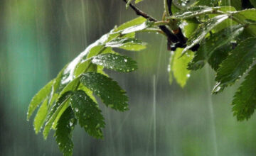 Rain expected in Baku on Sunday – WARNING