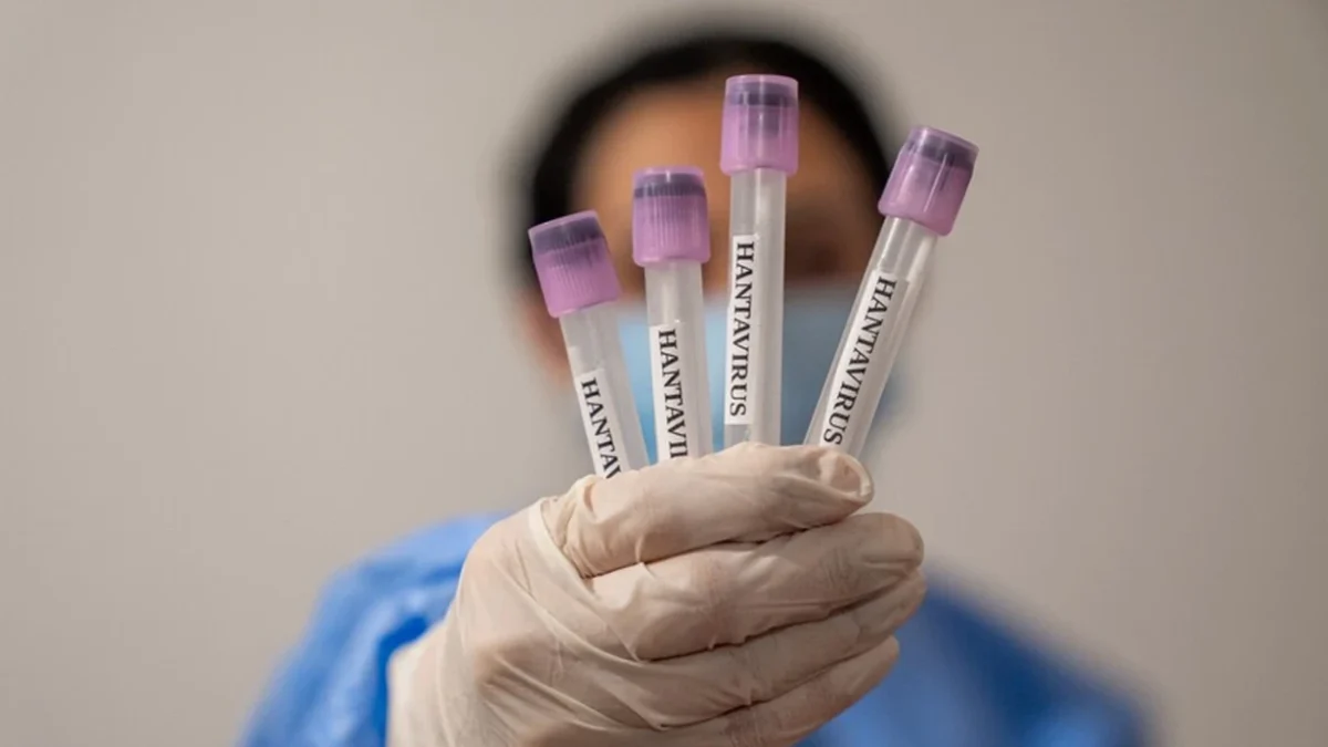 WHO statement on Hantavirus: Situation remains stable
